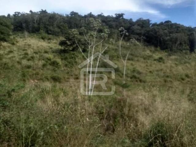 Fazenda rica em água, com área total de 24 alqueires sendo 15 alqueires pasto