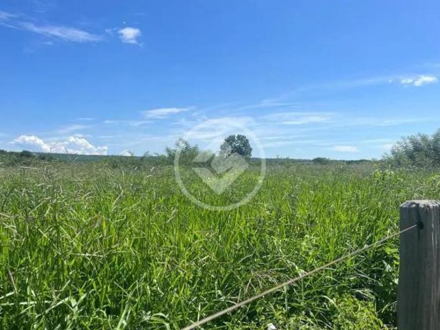 Fazenda Rompe Gibão Próximo a Jaiba MG codigo: 89579