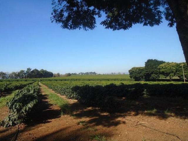Fazenda Sul de Minas Gerais, 1333 Hectares, Café de exportação para 4 países