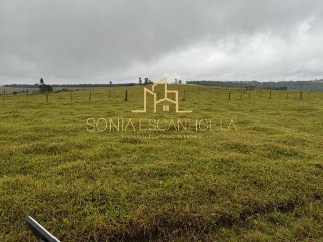 Fazenda São Matheus: Oportunidade em Itararé SP! 107alq, ideal para plantio de soja e criação de gad