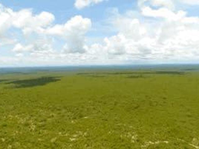 FAZENDA SANTA FÉ DE MINAS MINAS GERAIS| CULTURA, 726 HECTARES, 100% PLANA