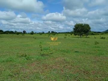 FAZENDA SELVIRIA MS