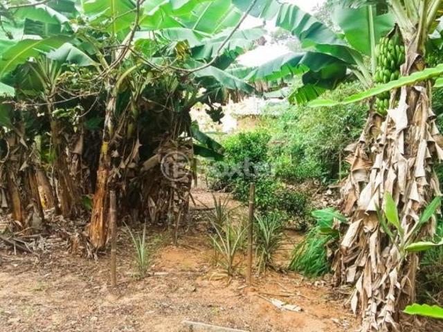 Fazenda / Sítio / Chácara, 3 dormitórios, 240 m², em Centro