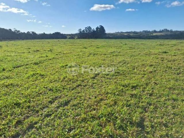 Fazenda / Sítio / Chácara, 1 dormitórios, 52664.34 m², em Centro