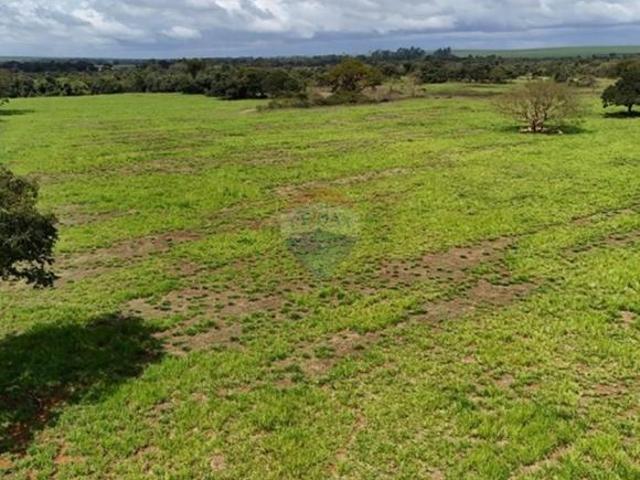 Fazenda / Sítio para venda em Centro de 266200.00m² com 5 Quartos e 1 Suite