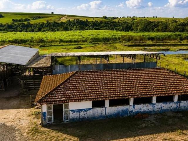 Fazenda / Sítio para venda em Centro de 200000.00m² com 6 Quartos