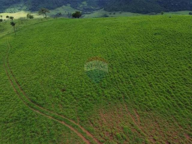 Fazenda / Sítio para venda em Centro de 2180000.00m² com 3 Quartos