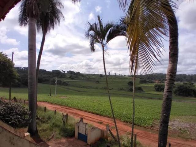 Fazenda / Sítio para venda em Centro de 590480.00m² com 3 Quartos