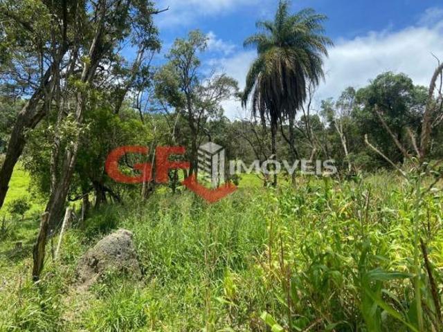Fazenda / Sítio para venda em A Definir de 140000.00m² com 4 Quartos