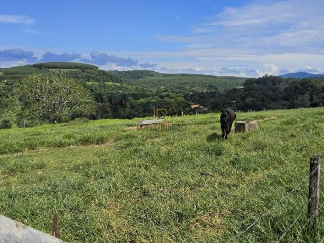 Fazenda / Sítio para venda em Anhumas de 250.00m² com 3 Quartos, 3 Suites e 3 Garagens