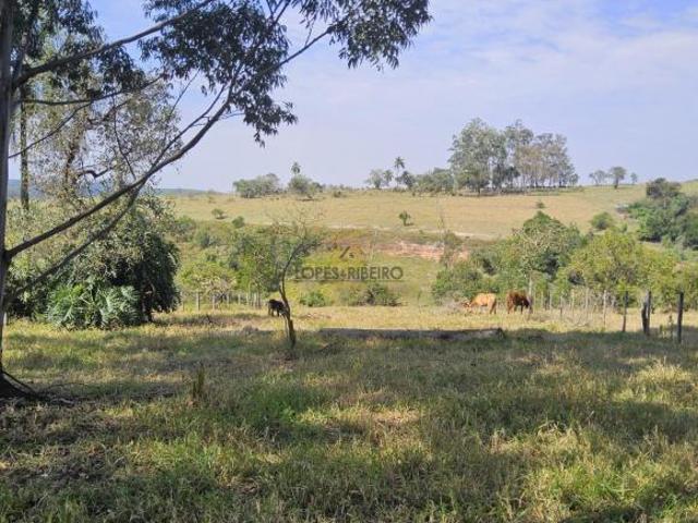 Fazenda / Sítio para venda em Área Rural De Anhumas de 20000.00m² com 1 Quarto