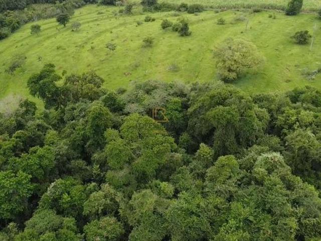 Fazenda / Sítio para venda em Área Rural De Botucatu de 120.00m² com 2 Quartos