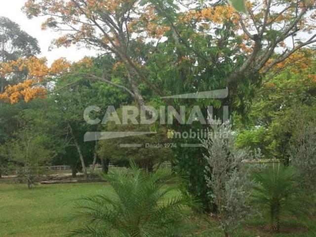 Fazenda / Sítio para venda em Área Rural De Ribeirão Bonito de 240.00m² com 5 Quartos, 2 Suites e 2