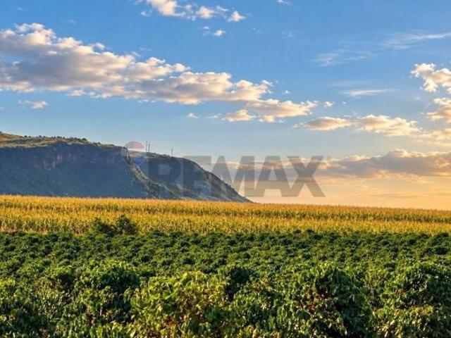 Fazenda / Sítio para venda em Guapé de 500000.00m² com 4 Quartos, 1 Suite e 100 Garagens