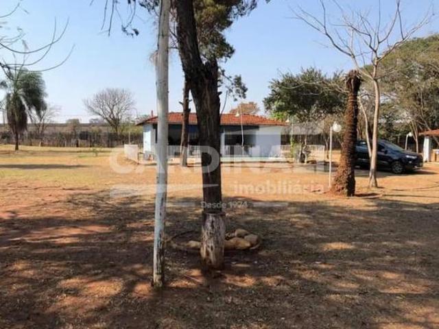 Fazenda / Sítio para venda em Jardim Zavanella de 417.00m² com 3 Quartos e 1 Suite