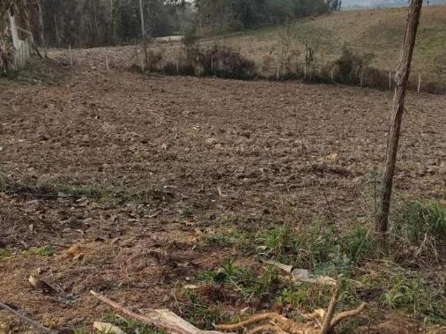 Fazenda / Sítio para venda em Lambari Doce Fino de 185.00m² com 3 Quartos e 3 Garagens