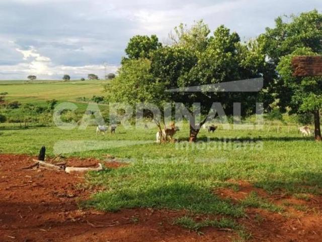 Fazenda / Sítio para venda em Machados de 21000.00m² com 1 Quarto
