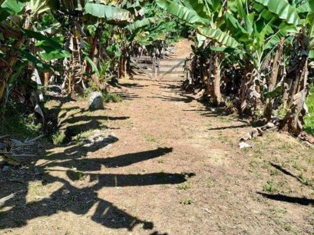 Fazenda / Sítio para venda em Miracatu de 100.00m² com 3 Quartos, 1 Suite e 3 Garagens