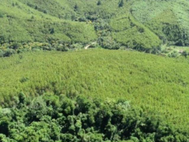 Fazenda / Sítio para venda em Rio Apiai de 4300.00m² com 5 Quartos, 2 Suites e 12 Garagens