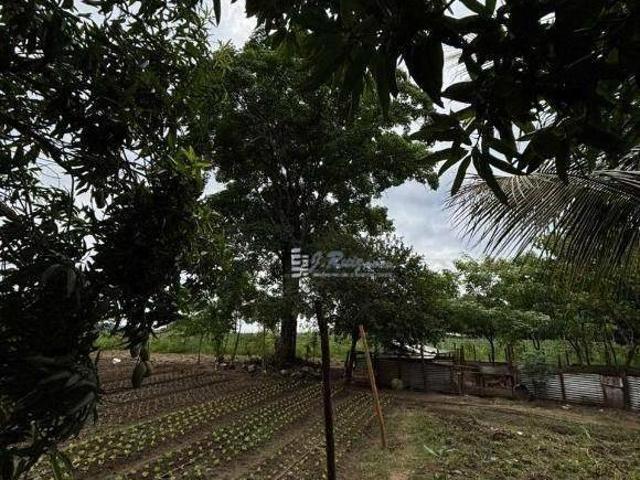 Fazenda / Sítio para venda em Rural de 120.00m² com 1 Quarto