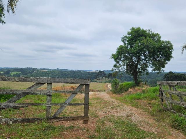 Fazenda / Sítio para venda em Zona Rural em Contenda Paraná de 1694.00m² com 3 Quartos e 1 Garagem