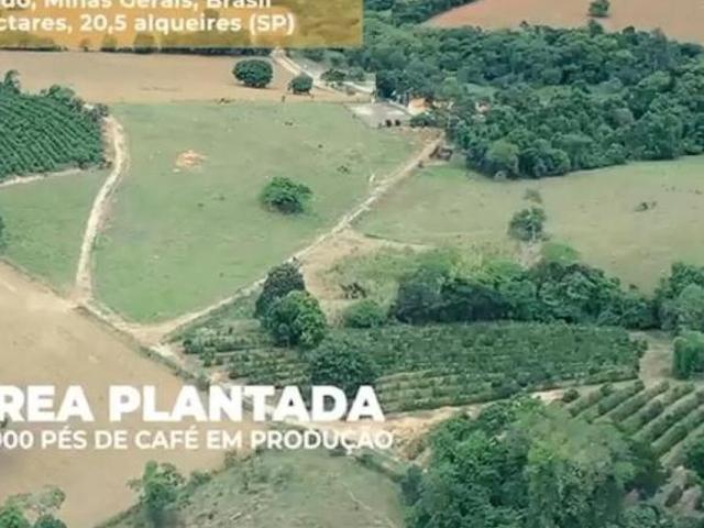 Fazenda / Sítios / Chácaras à venda em Machado, no bairro Zona Rural