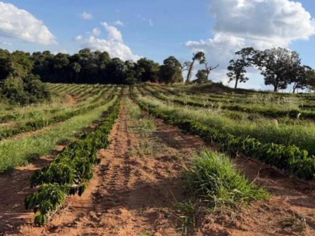 Fazenda / Sítios / Chácaras à venda em Machado, no bairro Zona Rural