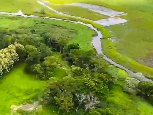 Fazenda / Sítios / Chácaras à venda em Martinho Campos, no bairro Zona Rural