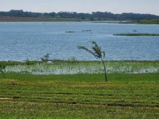 Fazenda / Sítios / Chácaras à venda em Mira Estrela, no bairro Centro