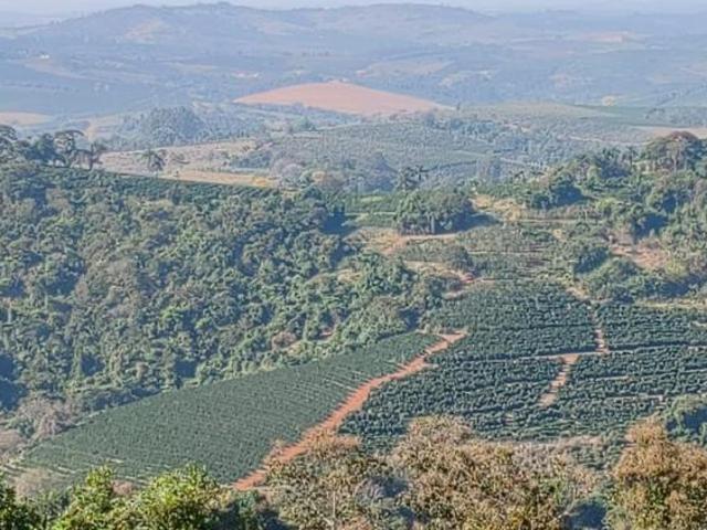 Fazenda / Sítios / Chácaras à venda em Nepomuceno, no bairro Fazenda Palmeiras