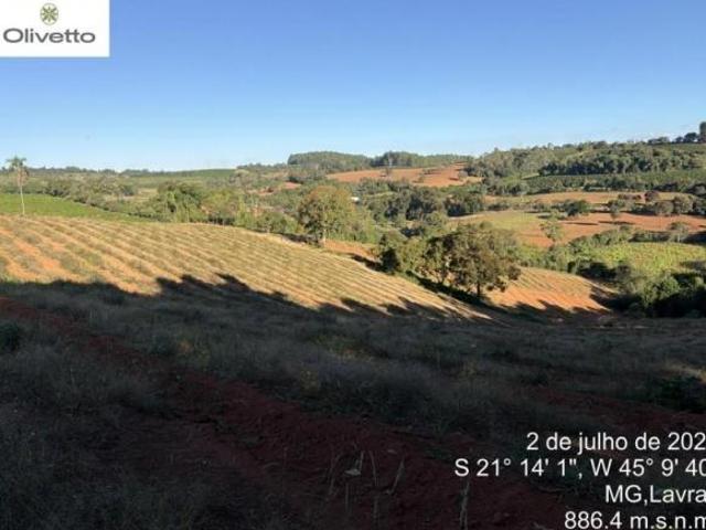 Fazenda / Sítios / Chácaras à venda em Nepomuceno, no bairro Lagoinha