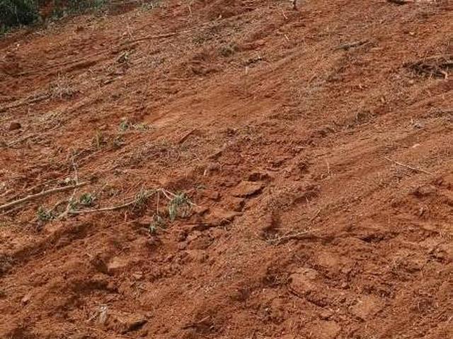 Fazenda / Sítios / Chácaras à venda em Nepomuceno, no bairro Repolho