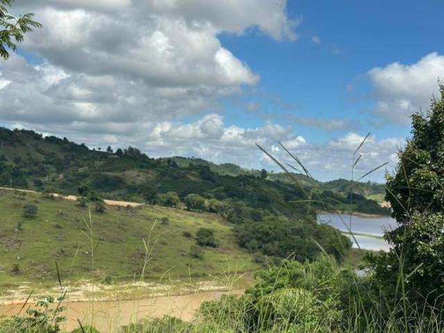 Fazenda / Sítios / Chácaras à venda em Nepomuceno, no bairro Serra Do Pedrão