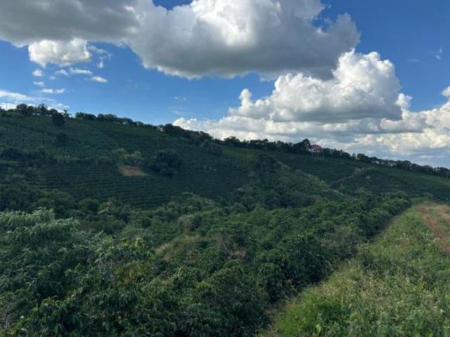 Fazenda / Sítios / Chácaras à venda em Nepomuceno, no bairro Vista Verde