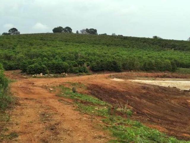 Fazenda / Sítios / Chácaras à venda em Nepomuceno, no bairro Zona Rural 1