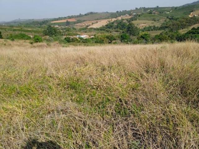 Fazenda / Sítios / Chácaras à venda em Nepomuceno, no bairro Zona Rural
