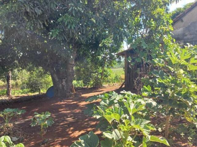 Fazenda / Sítios / Chácaras à venda em Nepomuceno, no bairro Zona Rural