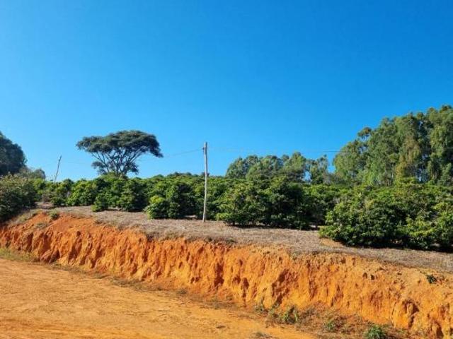 Fazenda / Sítios / Chácaras à venda em Nepomuceno, no bairro Zona Rural