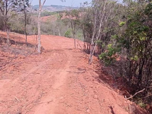 Fazenda / Sítios / Chácaras à venda em Nepomuceno, no bairro Zona Rural