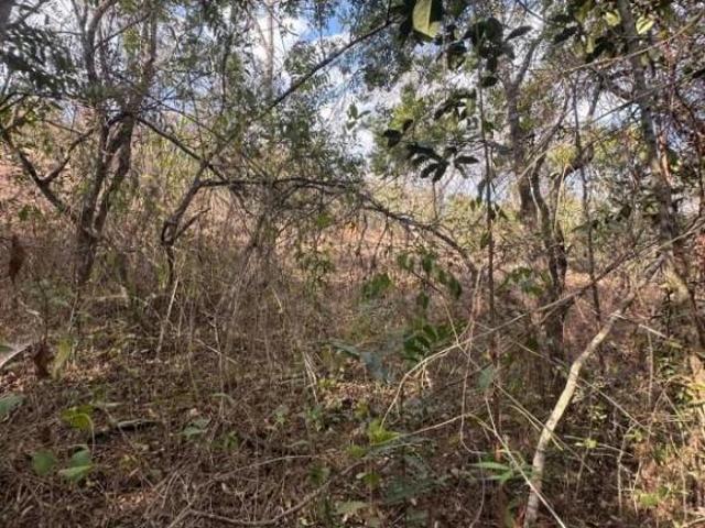 Fazenda / Sítios / Chácaras à venda em Nepomuceno, no bairro 37250 000