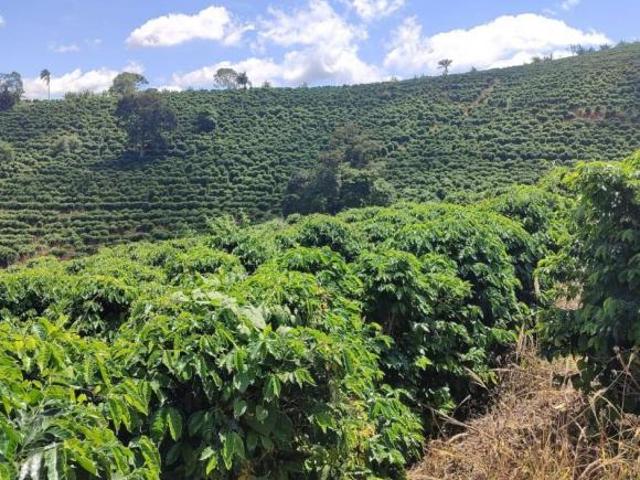 Fazenda / Sítios / Chácaras à venda em Ouro Fino, no bairro Zona Rural