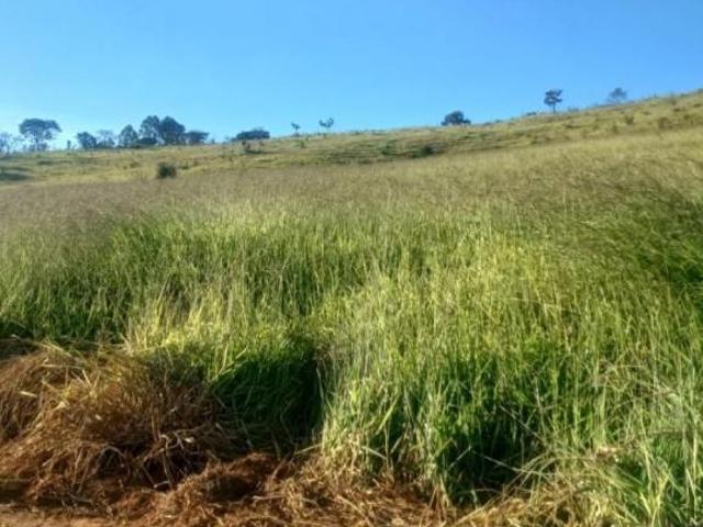 Fazenda / Sítios / Chácaras à venda em Oliveira, no bairro Zona Rural