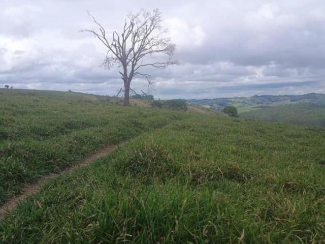 Fazenda / Sítios / Chácaras à venda em Oliveira, no bairro Área Rural