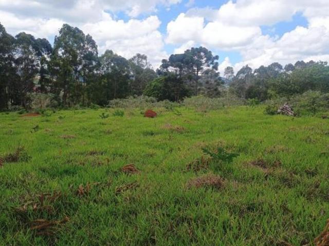 Fazenda / Sítios / Chácaras à venda em Oliveira, no bairro Área Rural
