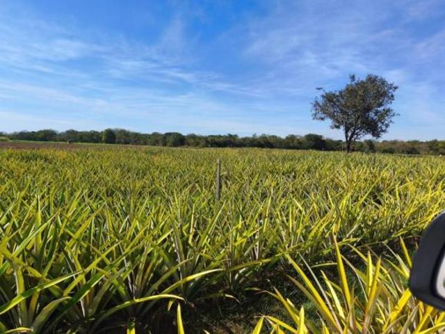 Fazenda / Sítios / Chácaras à venda em Augusto De Lima, no bairro Centro