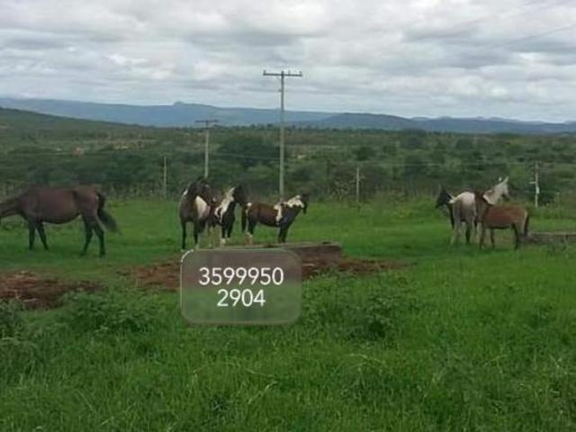 Fazenda / Sítios / Chácaras à venda em Augusto De Lima, no bairro Zona Rural