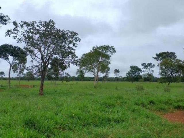 Fazenda / Sítios / Chácaras à venda em Abaeté, no bairro Região Fazenda Bandeira