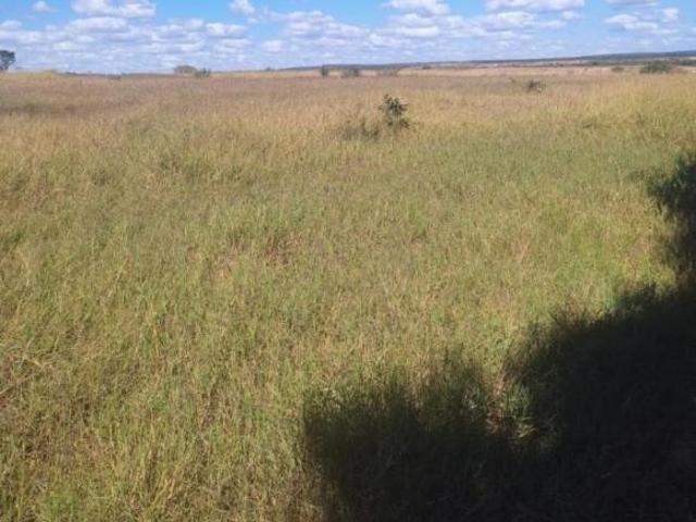 Fazenda / Sítios / Chácaras à venda em Abaeté, no bairro Zona Rural