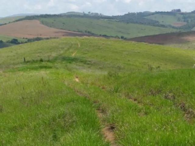Fazenda / Sítios / Chácaras à venda em Aiuruoca, no bairro Zona Rural