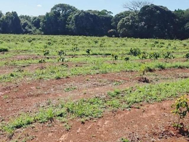 Fazenda / Sítios / Chácaras à venda em Alfenas, no bairro Área Rural De Alfenas